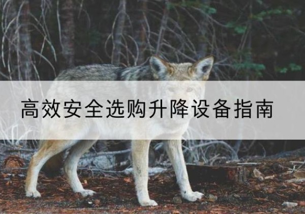 天元升降货梯厂家推荐-*安全选购升降设备指南