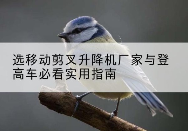 天元电动升降机厂家-选移动剪叉升降机厂家与登高车必看实用指南